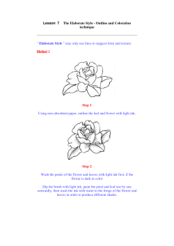 Lesson 7 The Elaborate Style - Outline and Coloration technique