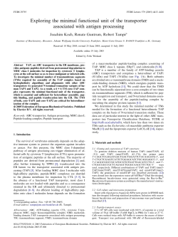 Exploring the minimal functional unit of the transporter associated