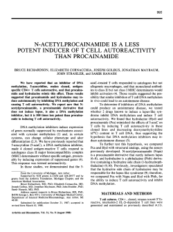 n-acetylprocainamide is a less potent inducer of t cell