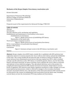 Mechanics of the Herpes Simplex Virus