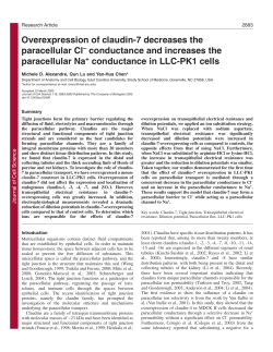 Overexpression of claudin-7 decreases the paracellular Cl