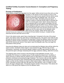 Certified Fertility Counselor Course-Session 5