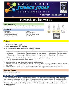 Forwards and Backwards