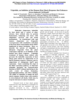 CELASTROLS AS INDUCERS OF THE HEAT SHOCK RESPONSE