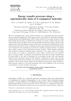 Energy transfer processes along a supramolecular chain of p