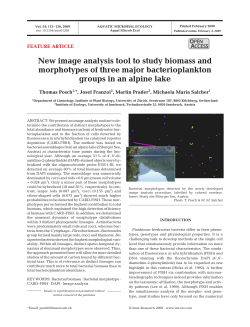 New image analysis tool to study biomass and morphotypes of three
