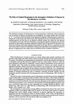 The Role of Limited Respiration in the Incomplete