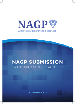 Submission - Houses of the Oireachtas