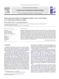 Allatotropin-like peptide in Malpighian tubules: Insect renal tubules