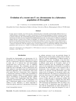 Evolution of a recent neo-Y sex chromosome in a laboratory