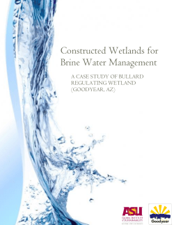 A Case Study of the Bullard Wetland