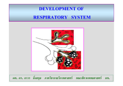 KKU Respir [โหมดความเข้ากันได้]