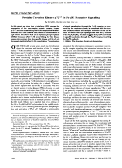 Protein-Tyrosine Kinase ~ 7 2 ~ ~ ~ in FcyRI Receptor Signaling
