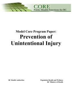 Model Core Program Paper: Prevention of unintentional injury