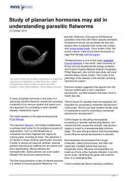 Study of planarian hormones may aid in understanding