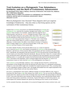 Trait Evolution on a Phylogenetic Tree