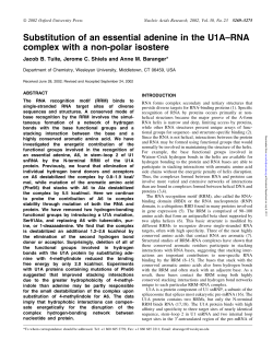Substitution of an essential adenine in the U1A&plusmn;RNA complex with a