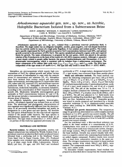 Arhodomonas aquaeolei gen. nov., sp. nov., an Aerobic, Halophilic