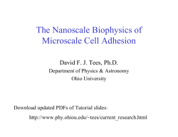 R - Ohio University Physics Department