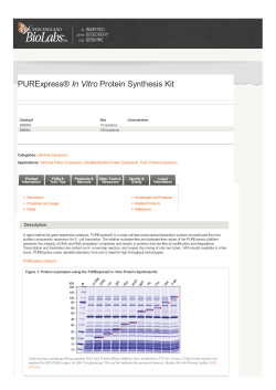 PURExpress&reg; In Vitro Protein Synthesis Kit