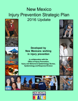 Injury Prevention Strategic Plan 2016 Update