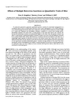 Effects of Multiple Retrovirus Insertions on Quantitative Traits of Mice