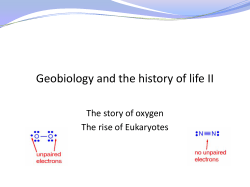 Geobiology and the history of life II