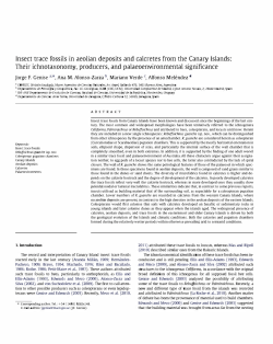 Insect trace fossils in aeolian deposits and calcretes from the Canary