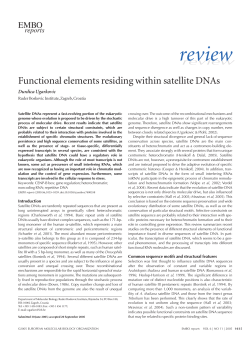 Functional elements residing within satellite DNAs