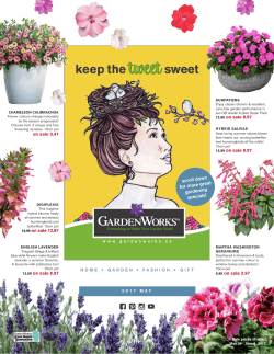 keep the tweet sweet