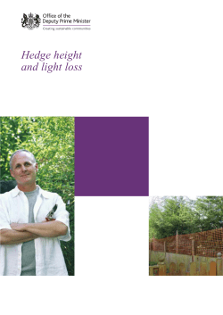 Hedge Height and Light Loss