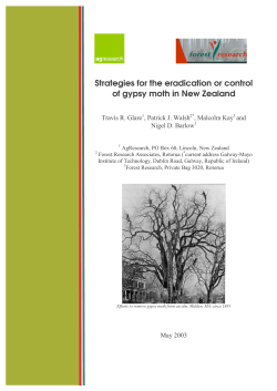 Strategies for the eradication or control of gypsy moth in New Zealand
