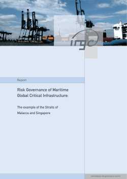 Risk Governance of Maritime Global Critical Infrastructure: