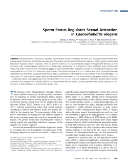 Sperm Status Regulates Sexual Attraction in