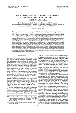 mechanisms of cytotoxicity of asbestos fibres in rat tracheal