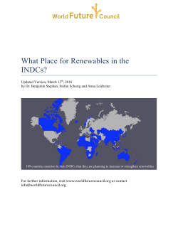 What Place for Renewables in the INDCs?