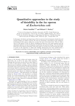 Quantitative approaches to the study of bistability