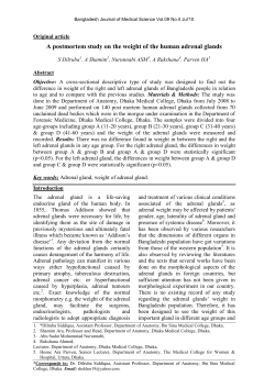 A postmortem study on the weight of the human adrenal glands