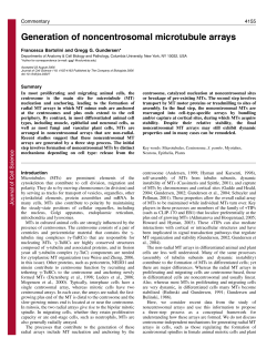 Generation of noncentrosomal microtubule arrays
