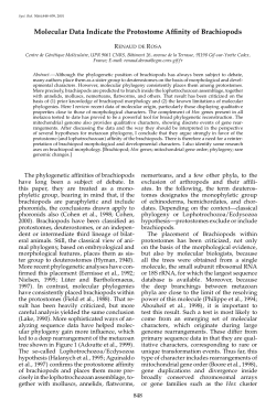 Molecular Data Indicate the Protostome Affinity of