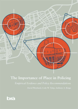 as PDF