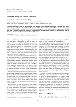 Taxonomic Study on Korean Schizopora