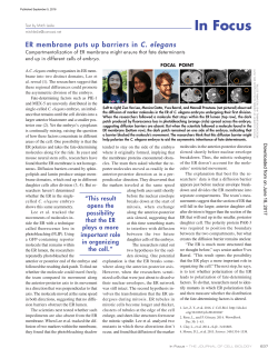ER membrane puts up barriers in C. elegans