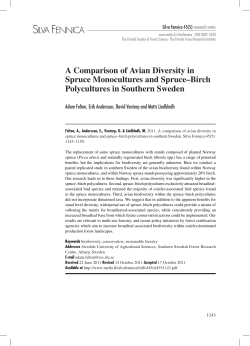 A comparison of avian diversity in spruce monocultures and spruce