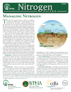 Read Now - International Plant Nutrition Institute