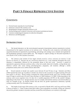 Part 3: Female reproductive system
