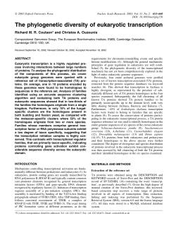 The phylogenetic diversity of eukaryotic transcription
