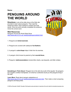 penguins around the world