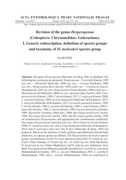 Revision of the genus Hesperopenna