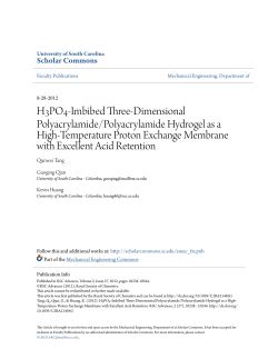 H3PO4-Imbibed Three-Dimensional Polyacrylamide/Polyacrylamide